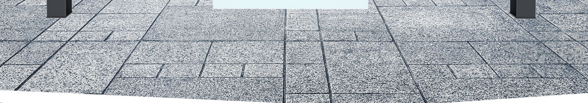 ��ɰѡ��һ���